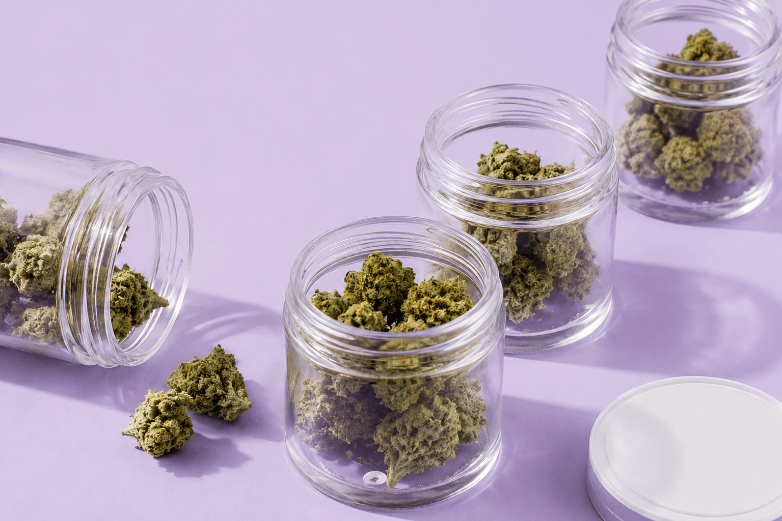 Medizinische Cannabisblüten in Apothekengläsern